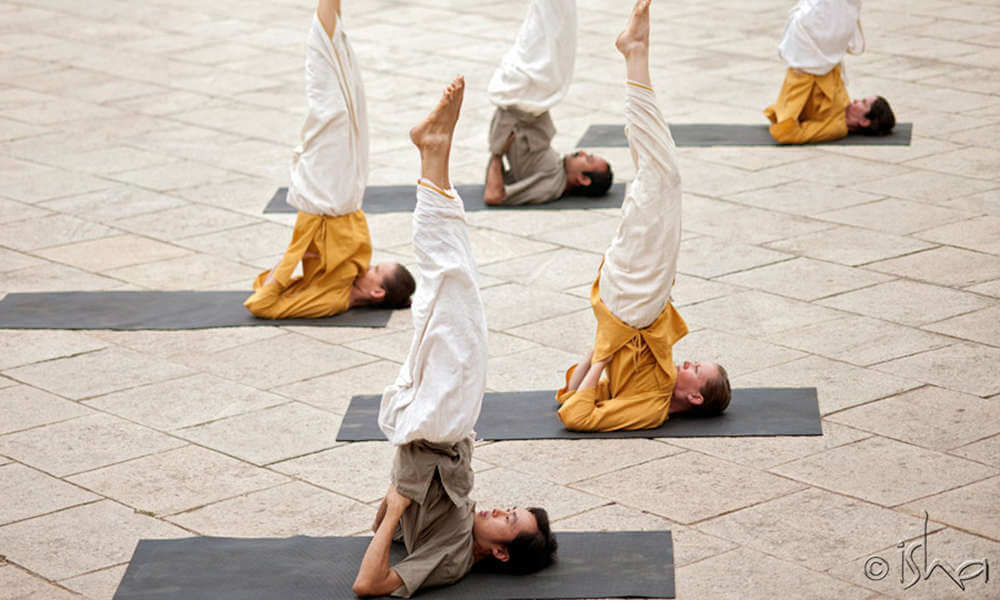 sarvangasana - yogasana in bangalore isha hatha yoga